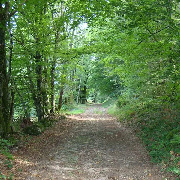 Chemin des seigneurs_4