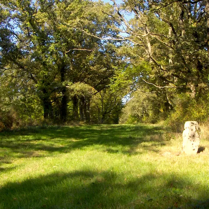 Circuit du Prince Noir_1