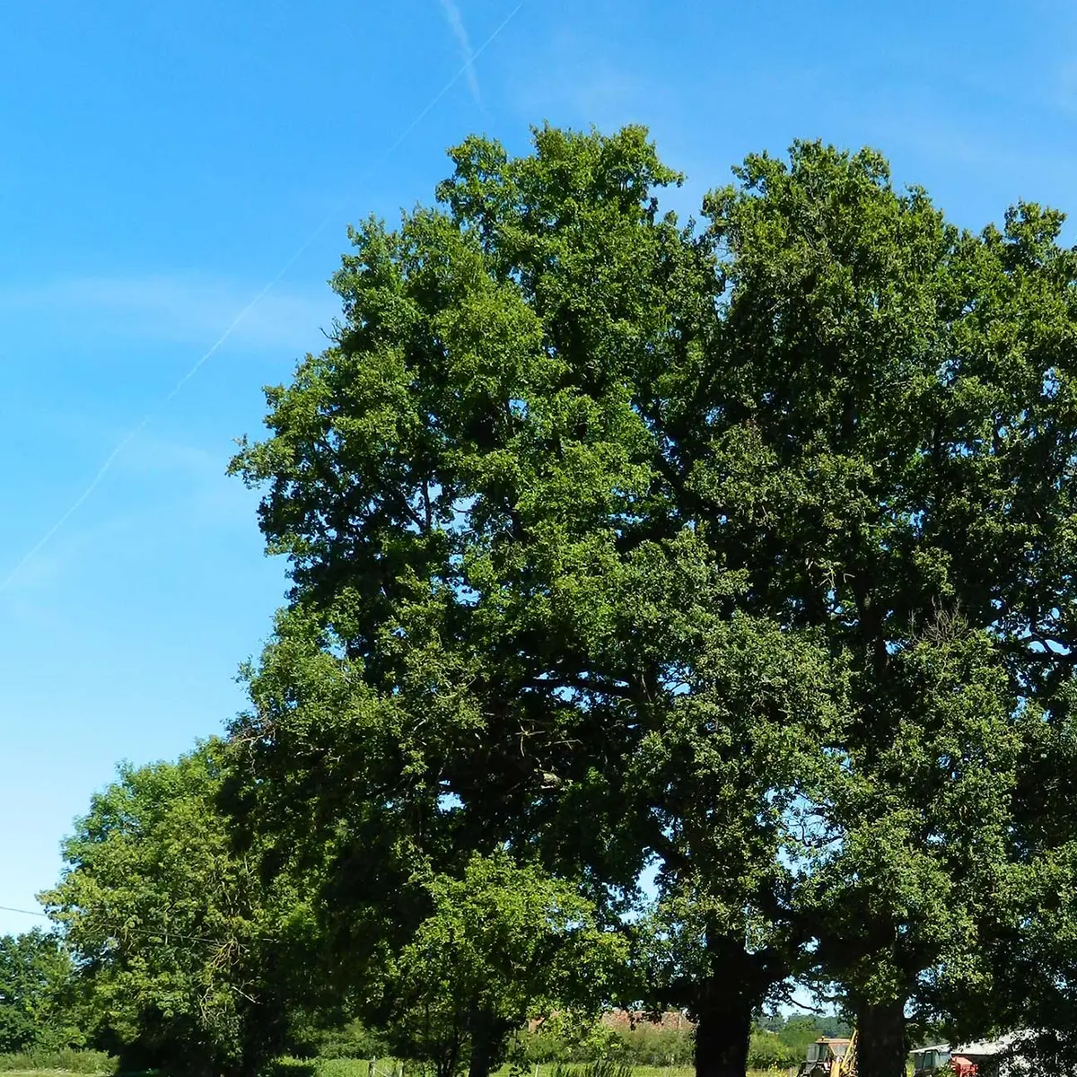 Circuit du Prince Noir_2
