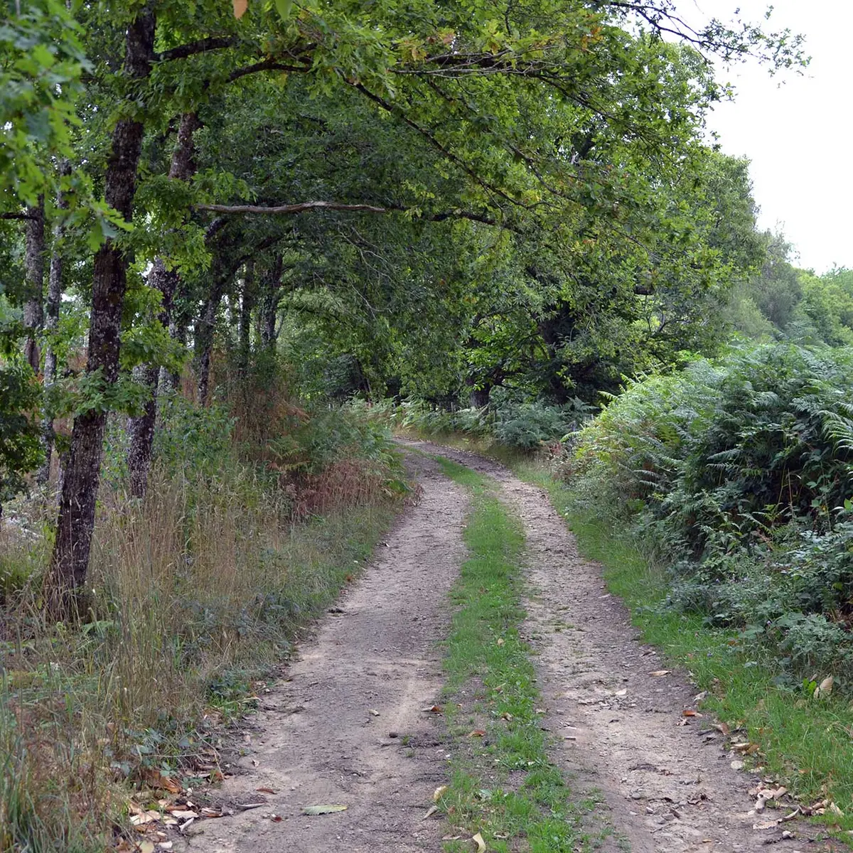 Sur les pas d'Henri de Navarre_3