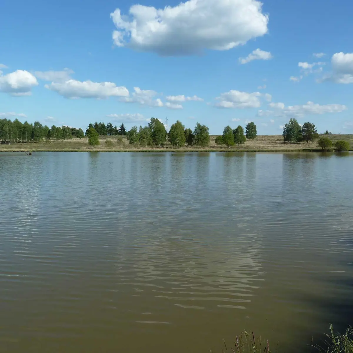 Sentier de la serpentine_2