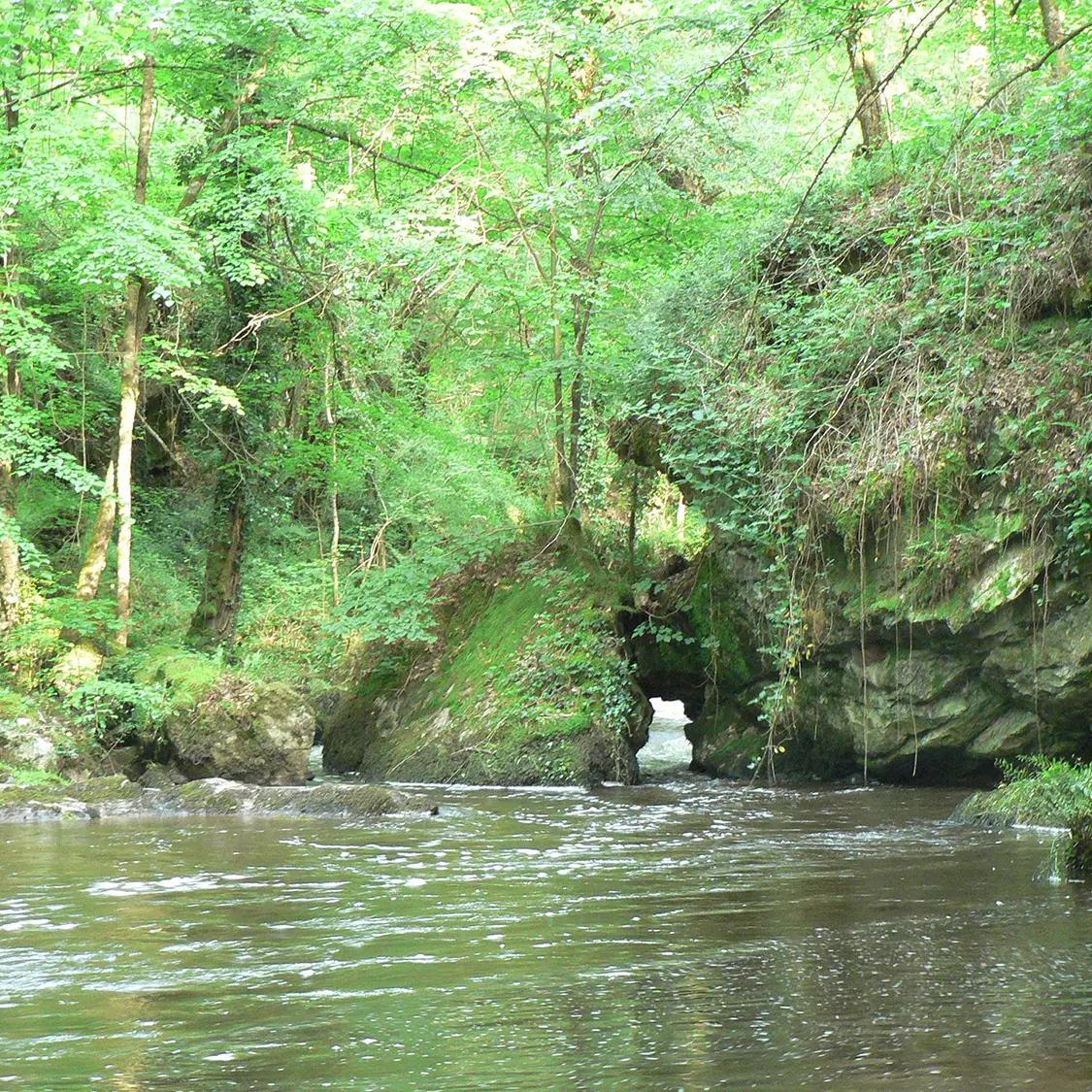 Chemin de la vallée du Vincou_3