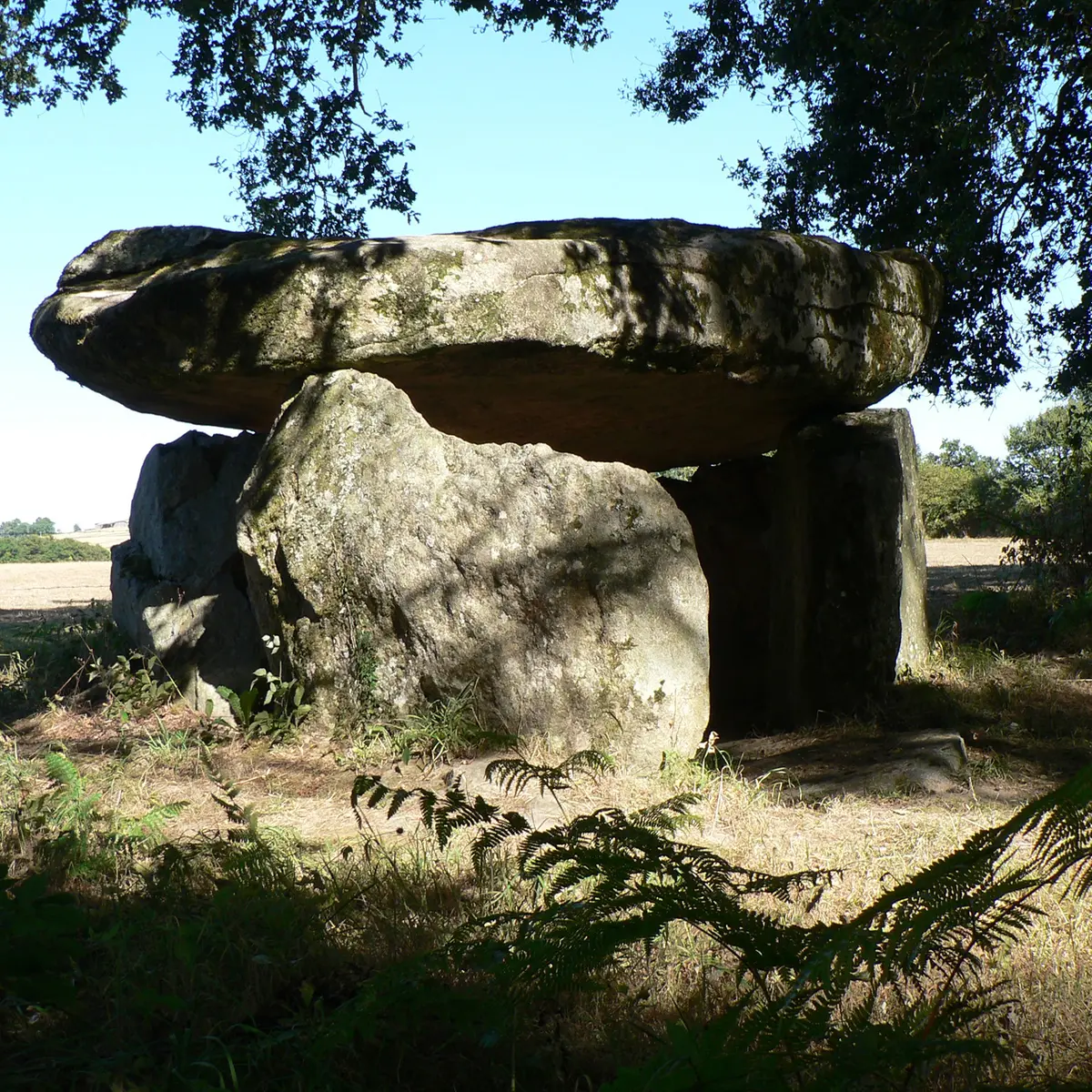 Chemin de la vallée du Vincou_4