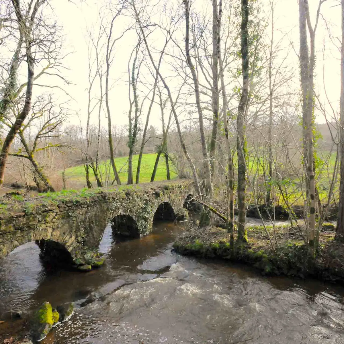 Chemin du moulin du Pont_1