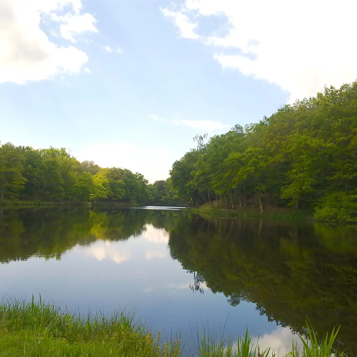 Sentier du Moulin Chabrou_3