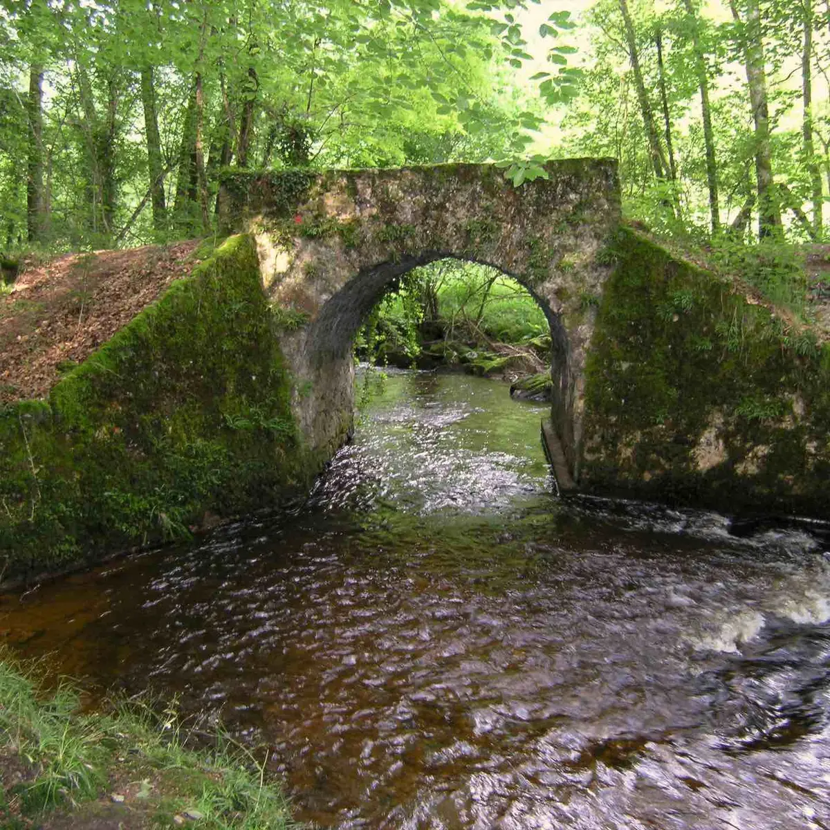 Sentier du Moulin Chabrou_1