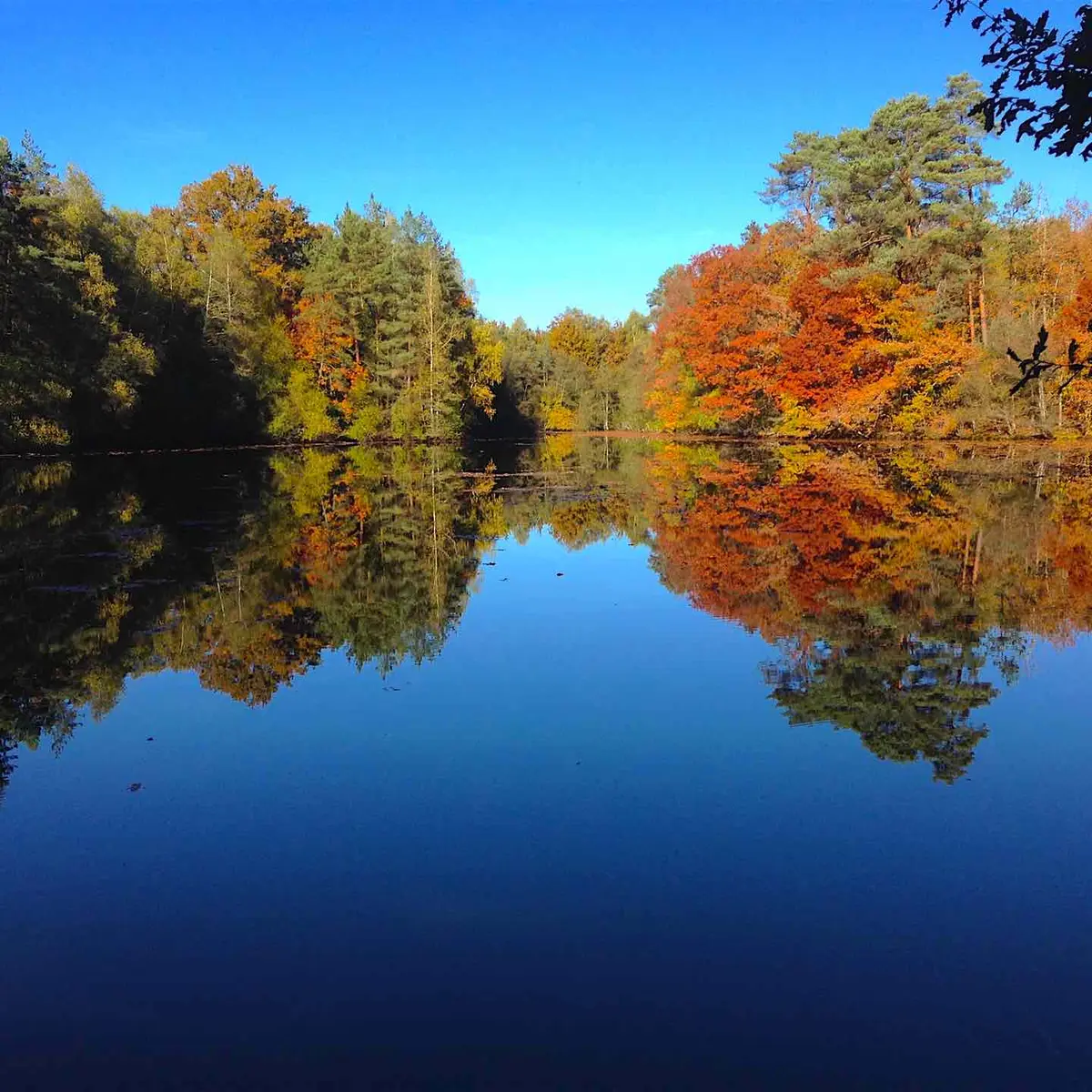 Sentier des étangs_4