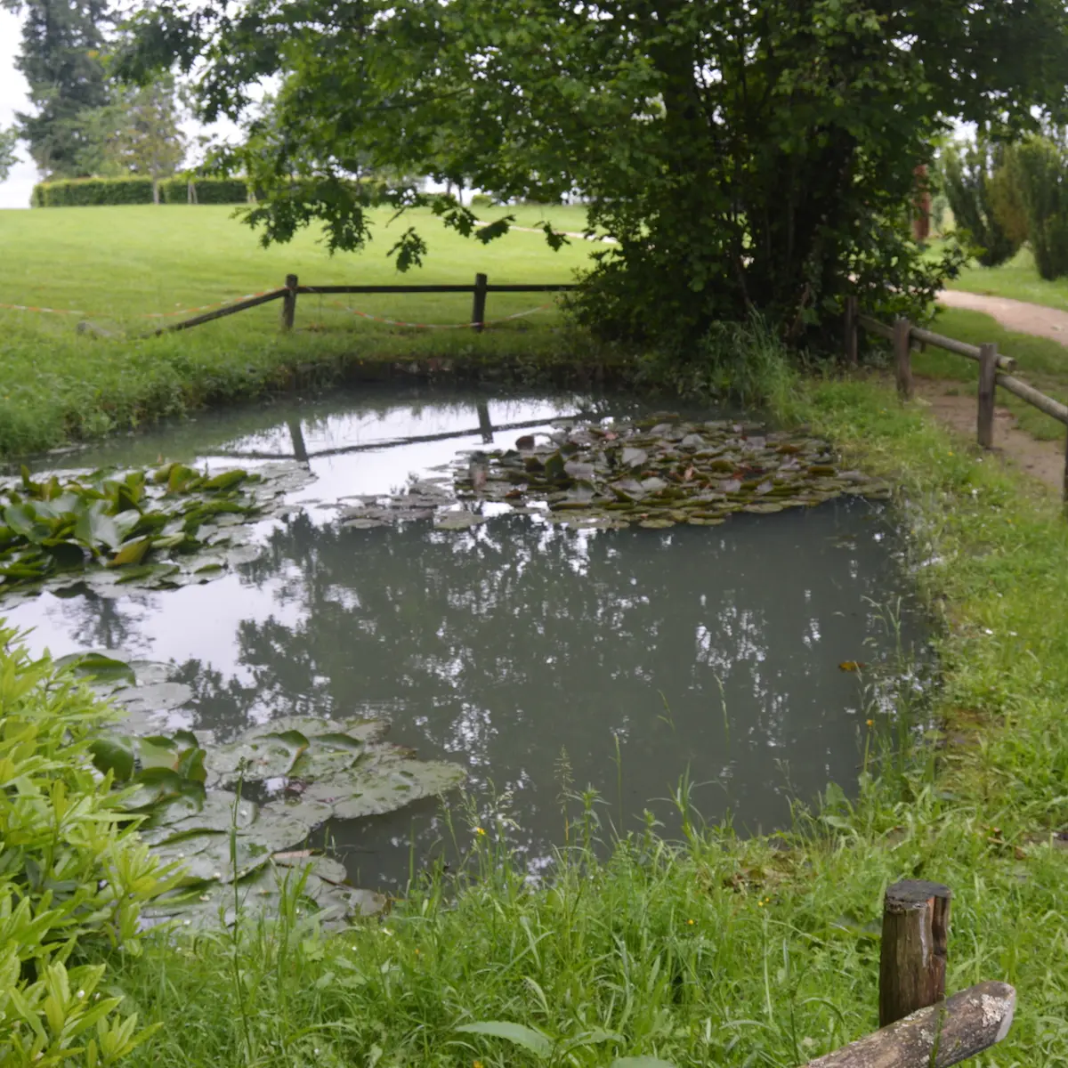 Sentier de plein-ciel_2
