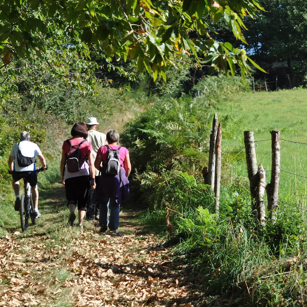 Circuit des Planches_1