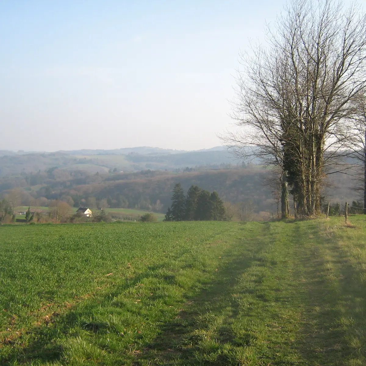 Mont Gargan piste 3_2