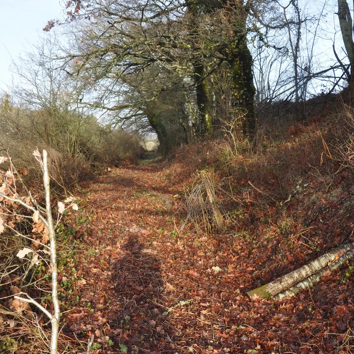 Sur les pas des Lémovices_4