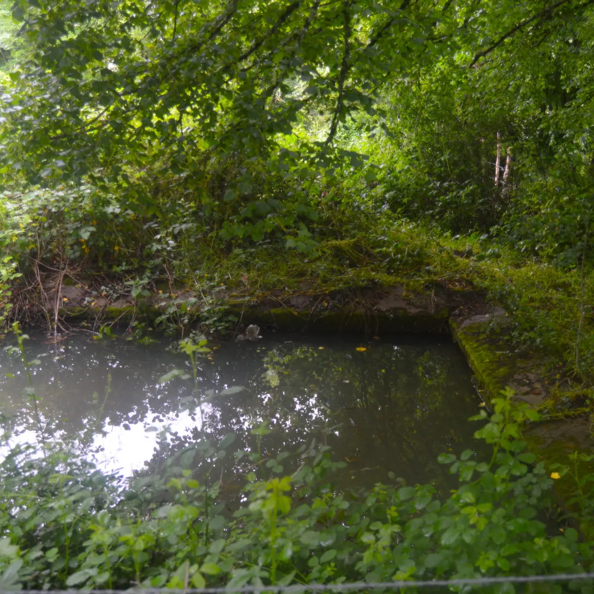 Sentier des écrevisses_3