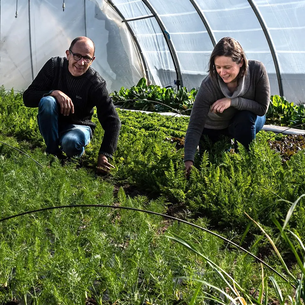 Les jardins d'Hélène