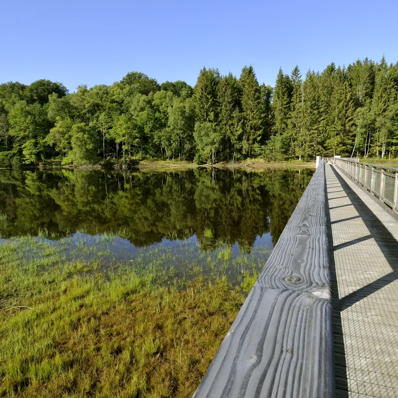 Sentier de rives du Lac de Vassivière_1