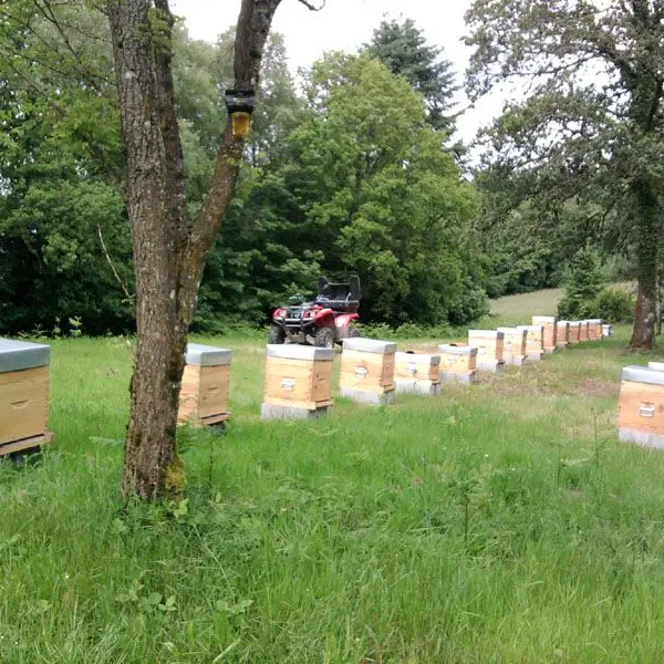 Visite au Rucher de La Vauzelle