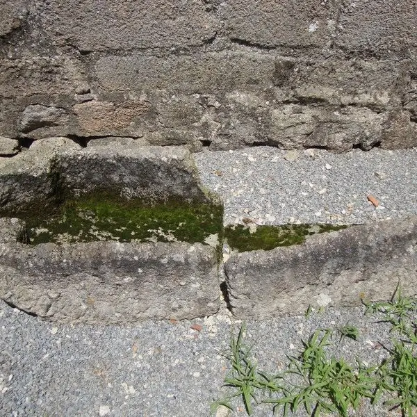 Sarcophage_4