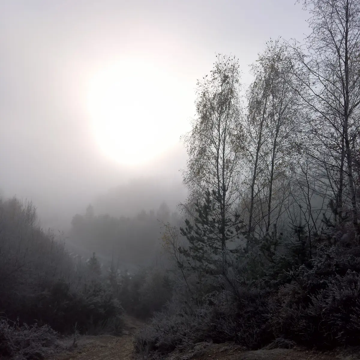 Base Uni'Vert Trail des Monts d'Ambazac - Le sentier de l'Ermite_1