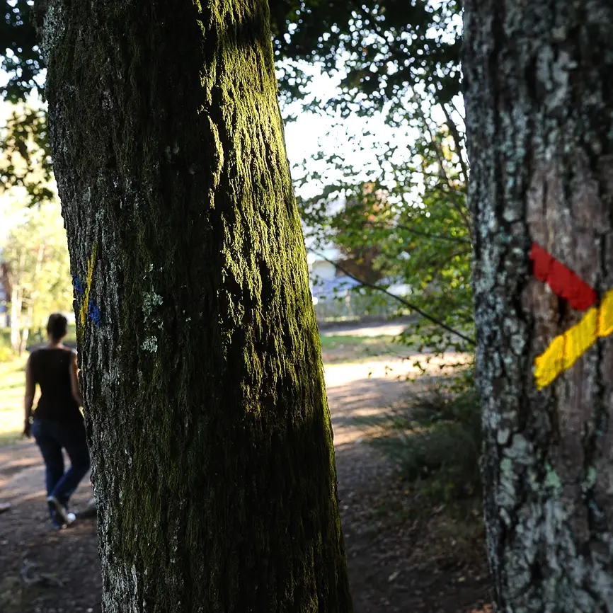Base Uni'Vert Trail des Monts d'Ambazac - Le sentier de l'Ermite_3