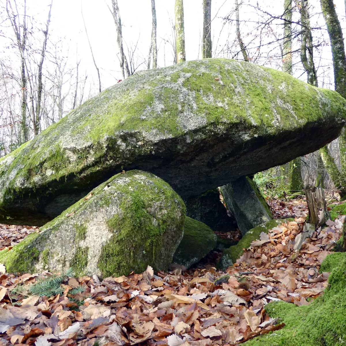 Base Uni'Vert Trail des Monts d'Ambazac - Le sentier du dolmen_2