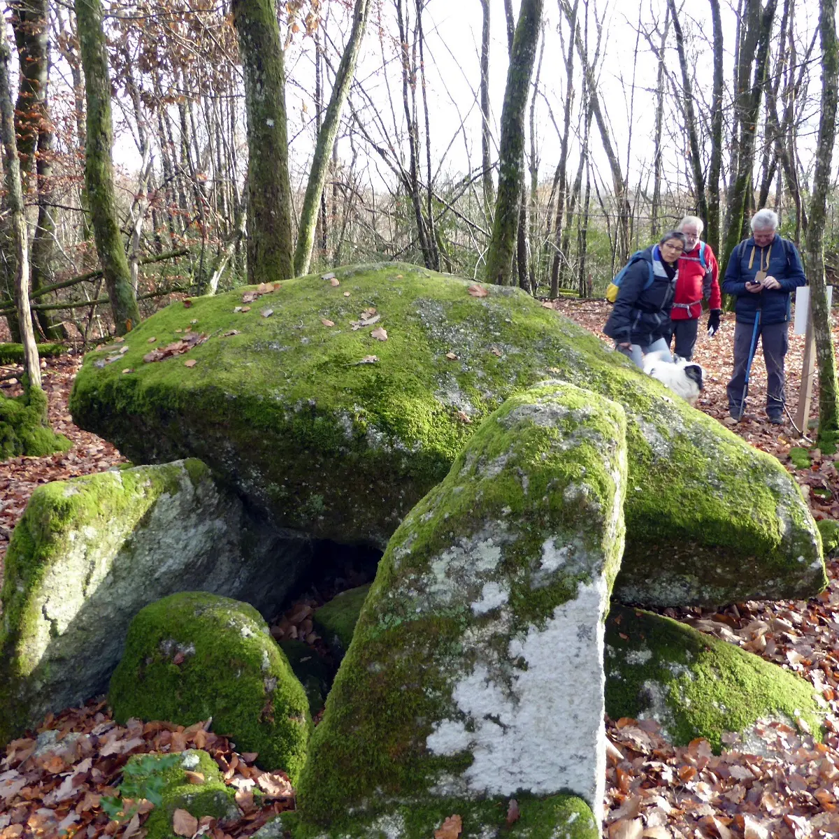 Base Uni'Vert Trail des Monts d'Ambazac - Le sentier du dolmen_3