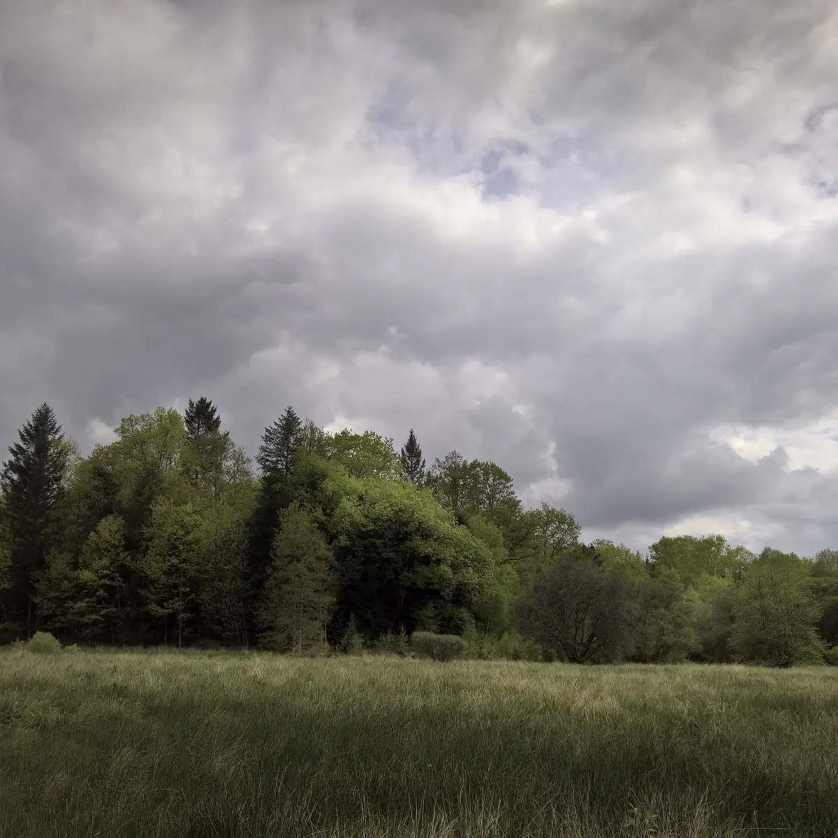 Base Uni'Vert Trail des Monts d'Ambazac - Le sentier des Puys_1