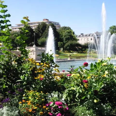 Le Champ de Juillet_2