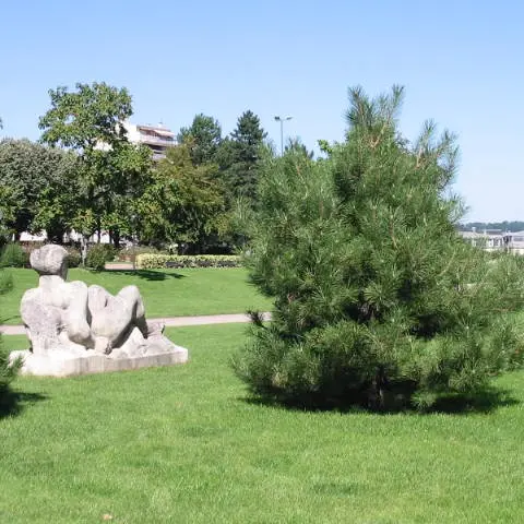 Le Champ de Juillet_3