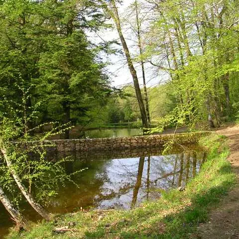 Parcours du coeur dans la forêt des loges_1