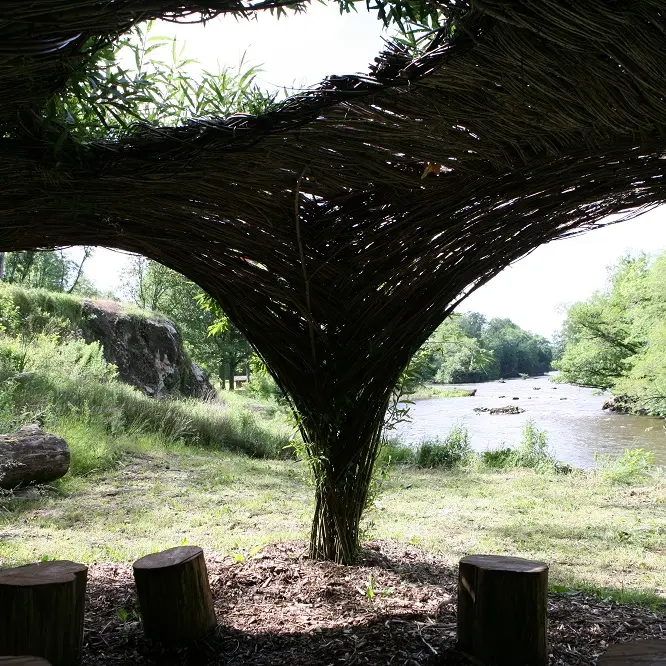 Jardin sauvage_3