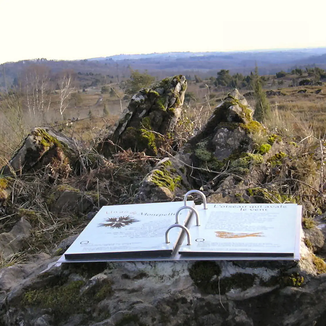 Sentier d'interprétation Landes du Cluzeau et de la Flotte_2
