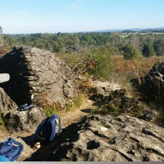 Sentier d'interprétation Landes du Cluzeau et de la Flotte_3