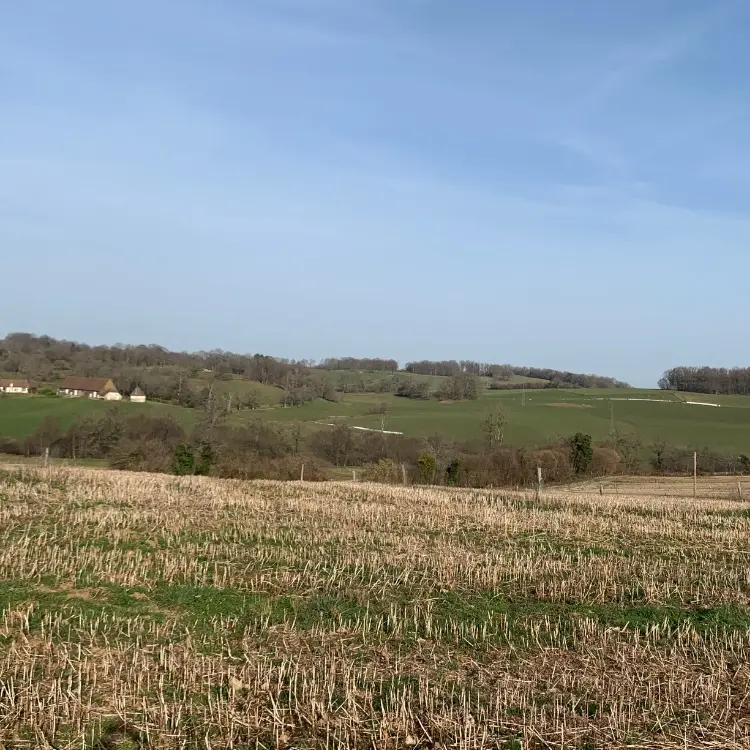 Boucle cyclotouristique La forêt de Meuzac_1