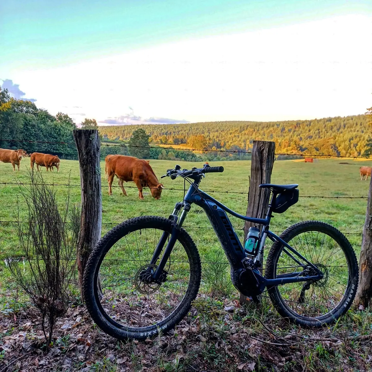 Boucle cyclotouristique Musée Cécile Sabourdy_4
