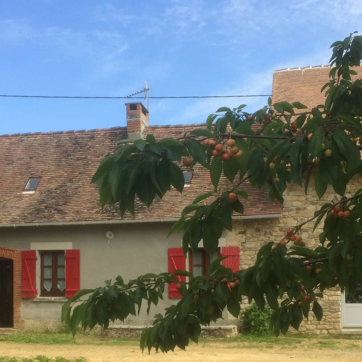 meublé le petit sépoux
ladignac le long_1