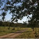 sentier randonnée les belles limousines_2