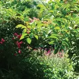 Sentier des grands monts saint-yrieix_3