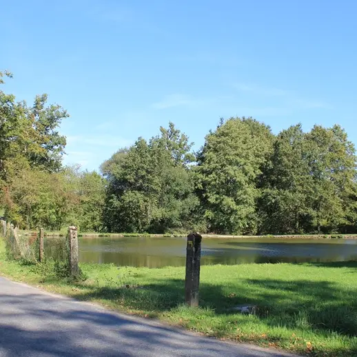 Route étang Cieux_2