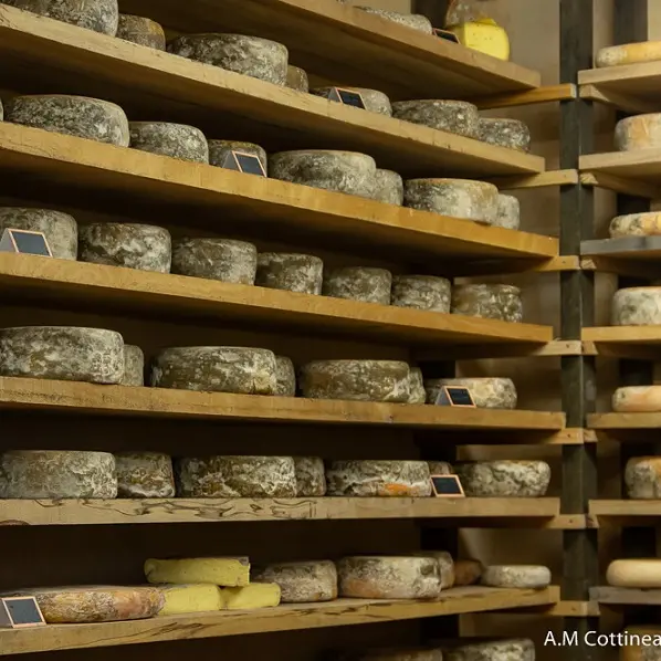 Cave d'affinage à fromages_3