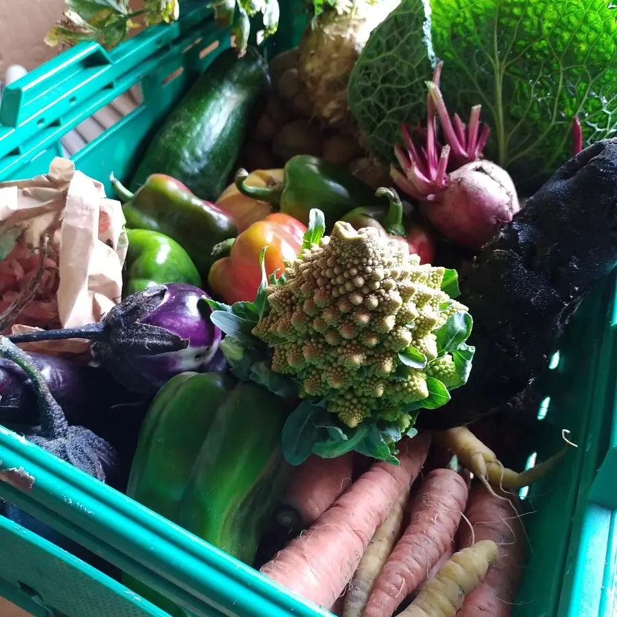 panier de légumes_2