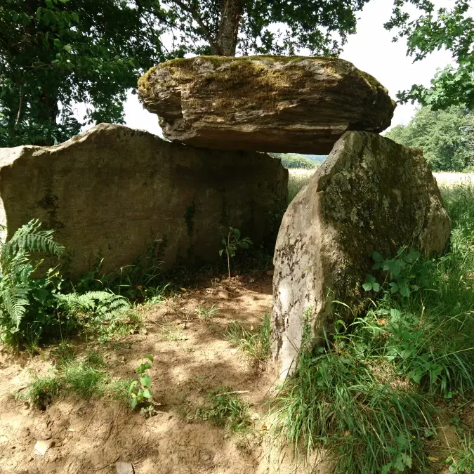 Dolmen de la Tamanie_2