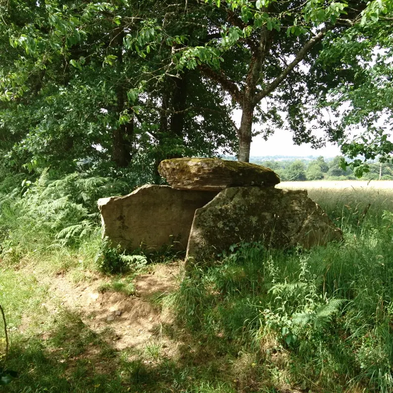 Dolmen de la Tamanie_3