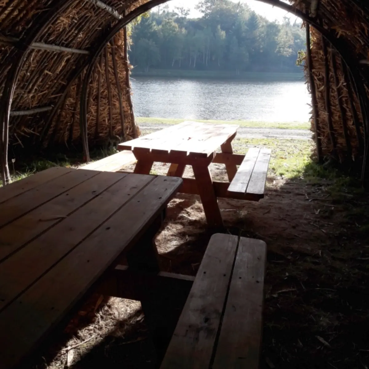 Cabane de feuillardier à Masselièvre_2