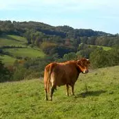 Circuit de la mure au billange 1_1