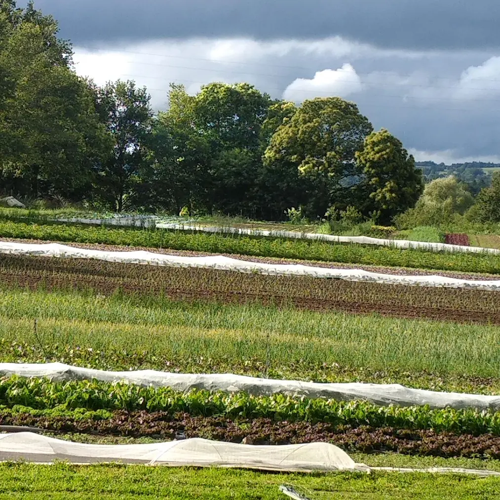 Les jardins d'Hélène Champ
