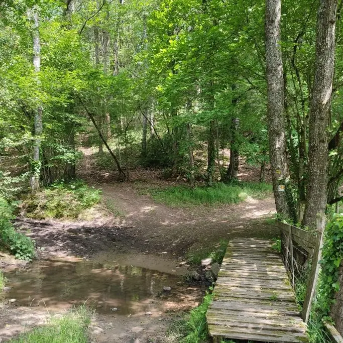 Passage d'un ruisseau