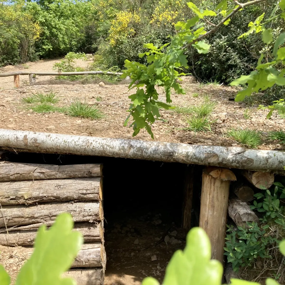 Planque du maquis à St Julien le Petit