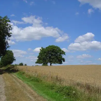 Circuit des rives de la Charente_2