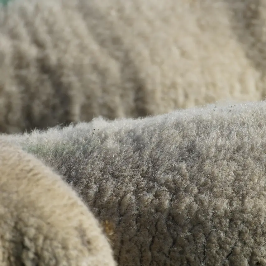 wool (2)