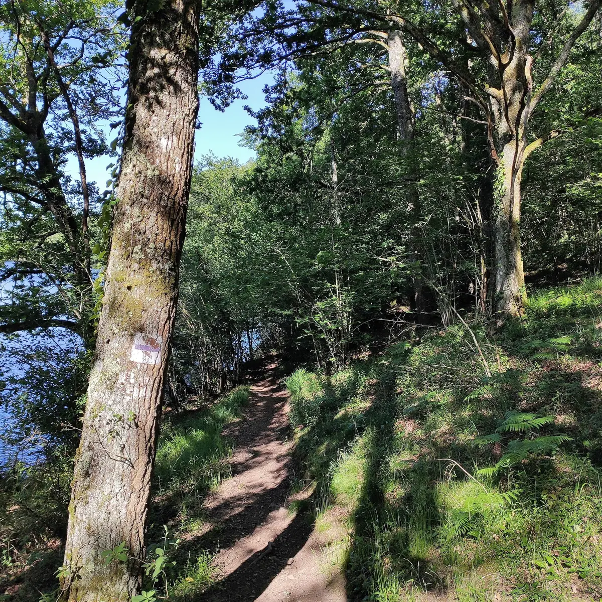 Bord de la Maulde et Pont du Martineix