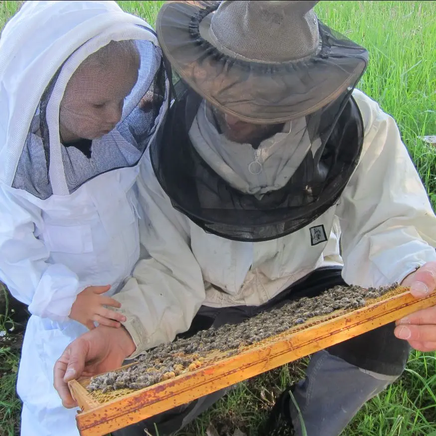 Capture Guillaume Guilbert miel